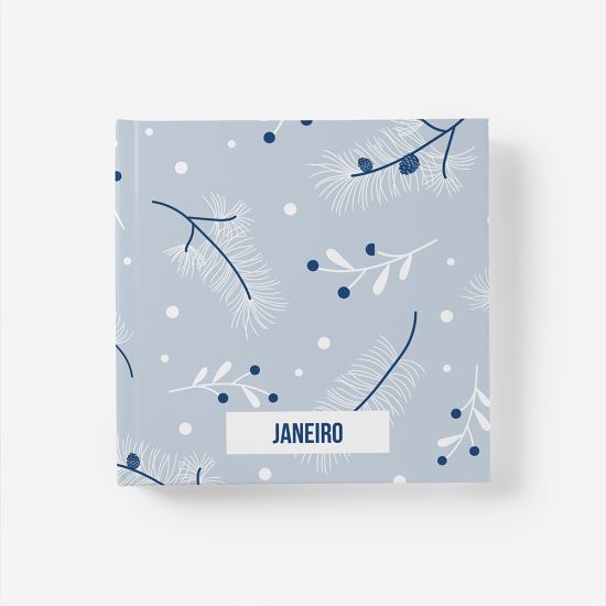Álbum de Janeiro 1